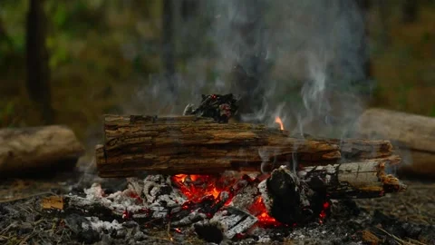 Adding Firewood to Campfire and Glowing Embers 動画素材 344746638