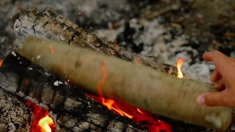 Adding Firewood to Campfire in Forest Video stock 342504630