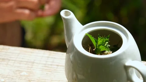 Adding Fresh Mint Leaves to White Teapot in Sunny Summer Garden Stock Footage 328361227