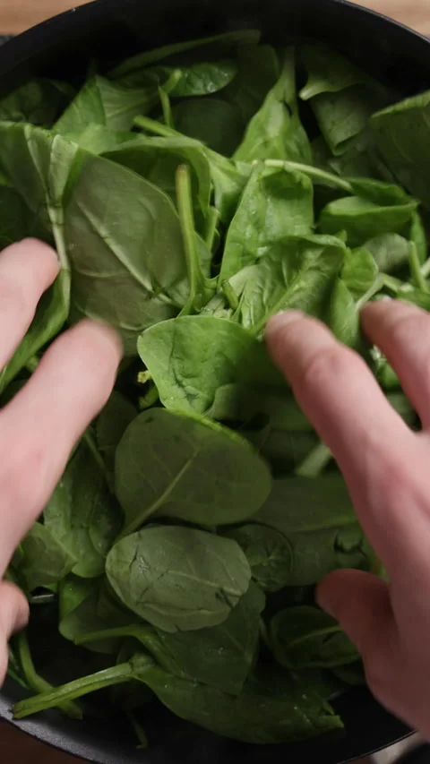Adding Fresh Spinach Into Pan Close Up Top View Vertical 스톡 동영상 337190761