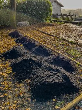Adding heaps of topsoil to the vegetable patch in the garden of a residenti.. Foto stock