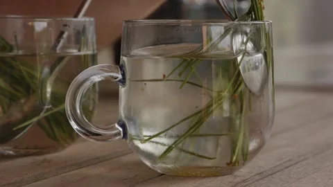 Adding honey to a cup of pine needle tea, Close up Stock Footage 163945720