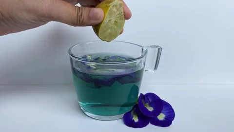 Adding lemon to butterfly pea flower tea Stock Footage 295493461