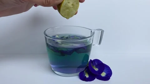 Adding lemon to butterfly pea flower tea Stock Footage 295493683