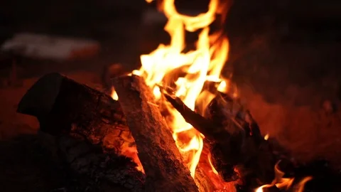 Adding logs to a burning campfire Stock Footage 90821433