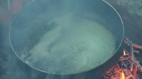 Adding Meat to Pan Over Campfire for Grilling 動画素材 310824329