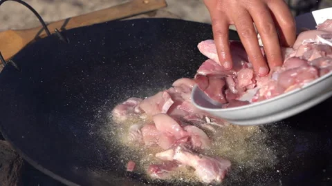 Adding Meat to Pan Over Campfire Video stock 327082011