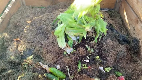 Adding Organic Waste to Compost for Decomposition Vídeos de archivo 343865566