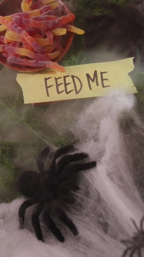 Adding pile of gummy worms onto Feed Me sign on moss 스톡 동영상 342423077