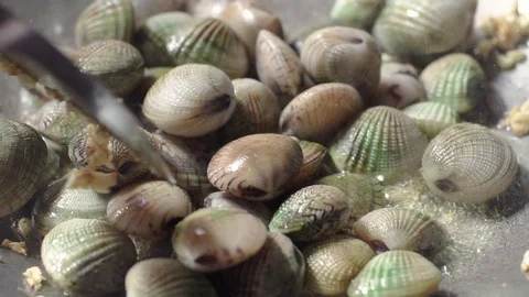 Adding Quahaug Shell to Hot Frying Pan Mix and Stir Fried with Garlic Stock Footage 128941059