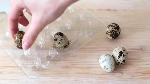 Adding quail eggs in container Video stock 74010172