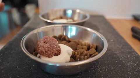 Adding raw meatball to two dog food bowls on kitchen counter Stock Footage 345865403