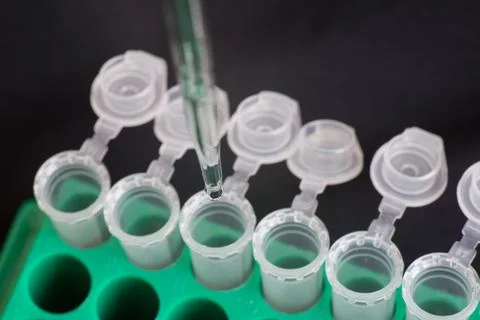 Adding sample to micro centrifuge tube Stock Photos