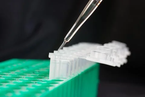 Adding sample into micro centrifuge tube Stock Photos