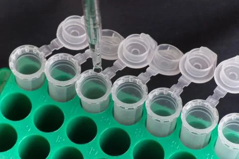 Adding sample into micro centrifuge tube Stock Photos