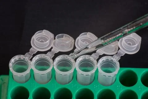Adding sample into micro centrifuge tube Stock Photos