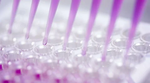 Adding samples to well plate Stock Footage 47463494