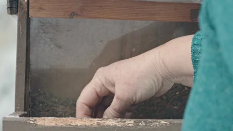 Adding seed to bird feeder in winter Stock Footage 297009107