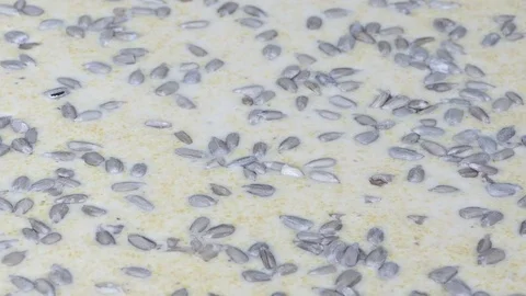 Adding seeds to the dough (before baking) Video stock 72758985