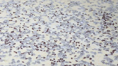 Adding seeds to the dough (before baking) Stock-Footage 72765098