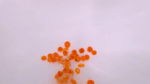 Adding slicing carrots into water Stock Footage 122106984