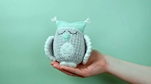 Adding a soft owl toy to the scene on hands. Stock Footage 166680194