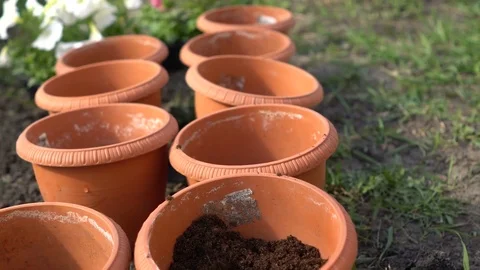 Adding a Soil For Planting Stock Footage 75331181