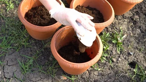 Adding a Soil For Planting Stock Footage 76968831