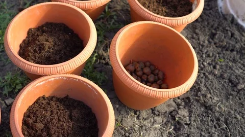 Adding a Soil For Planting Stock Footage 76968872