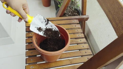 Adding soil to a pot for a new plant | house garden stock video Stock Footage 282236576