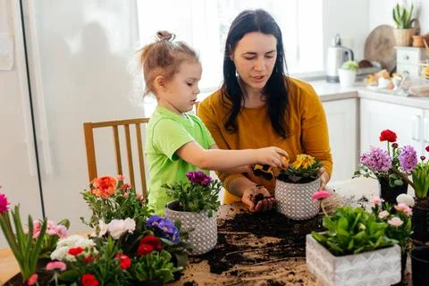 Adding some game elements into learning process Adorable little boy helpin... Stock Photos