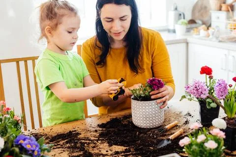 Adding some game elements into learning process Adorable little boy helpin... Stock Photos
