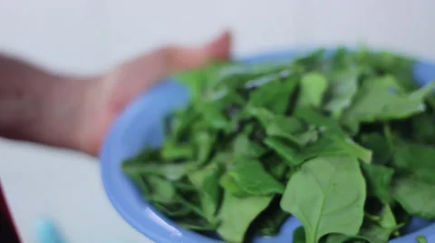 Adding spinach leaves to pan Stock Footage 35221746