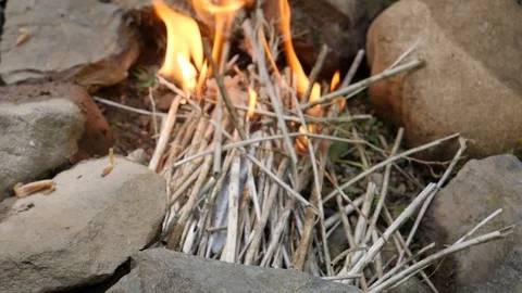 Adding Sticks On A CampFire Stock Footage 91182924
