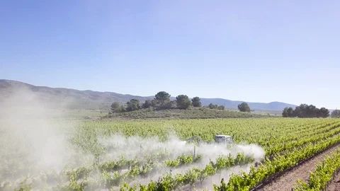 Adding sulfites to a wineyard, ecologic wine – 01 Vidéo 97705652