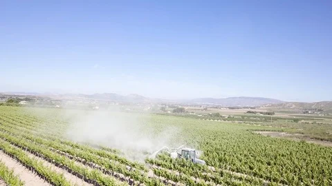 Adding sulfites to a wineyard, ecologic wine – 02 스톡 동영상 97707577