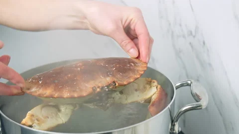 Adding a whole crab into a saucepan with boiling water on the gas stove 4k. Stock Footage 146324807