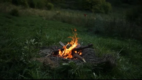 Adding Wood to Camp Fire Vidéo 8949448