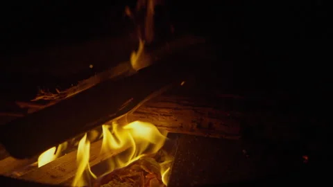 Adding wood to the campfire. Stock-Footage 313299747