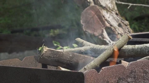 Adding woods to fire in BBQ Stock Footage 89849951