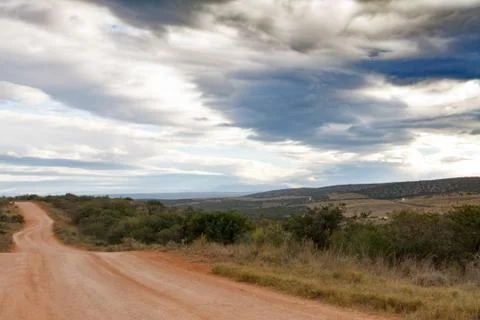Addo Landscape Stock Photos
