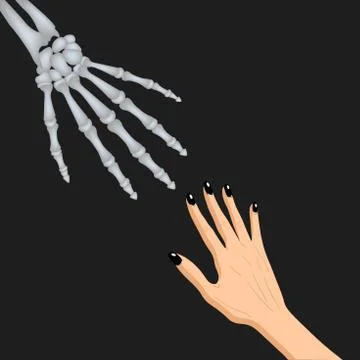 Adead skeleton hand and a human hand together, vector illustration Stock Illustration