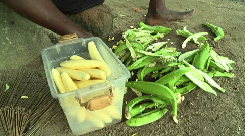 ADEISO VEGETABLES Stock Footage 58066826