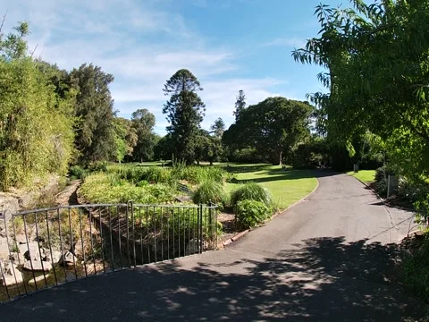 Adelaide, Australia – 2019, Dec 15: Scenic Garden Path and Bridge Stock Footage 343474220