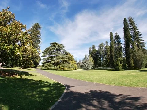 Adelaide, Australia – 2019, Dec 15: Scenic Garden Path and Bridge Stock Footage 343474242