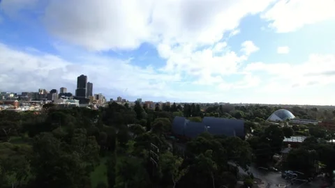 Adelaide in Motion 库存影片 133119824