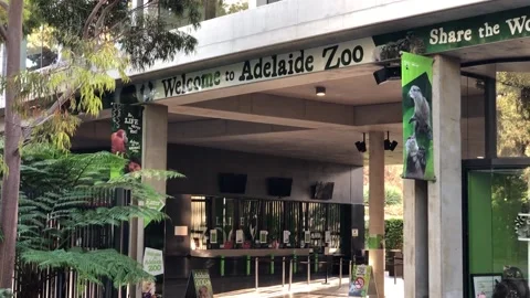Adelaide Zoo Stock Footage 136981740