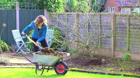 Adele mulching the apple tree Stock Footage 321462850