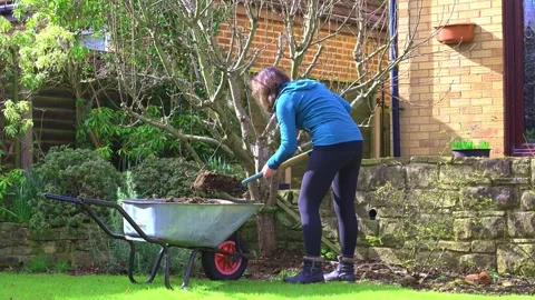 Adele mulching the Pear tree Stock Footage 321462842