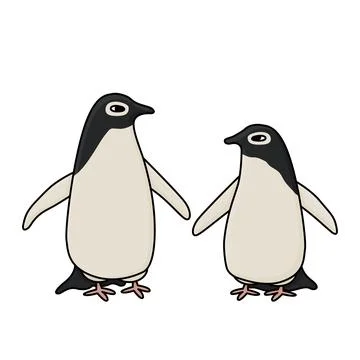 Adele penguins. Vector cute cartoon hand drawn isolated illustration of the Stock Illustration